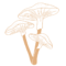 Psychedelic dispensary online