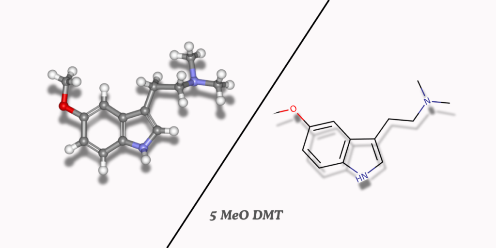 5 MeO DMT chemical structure