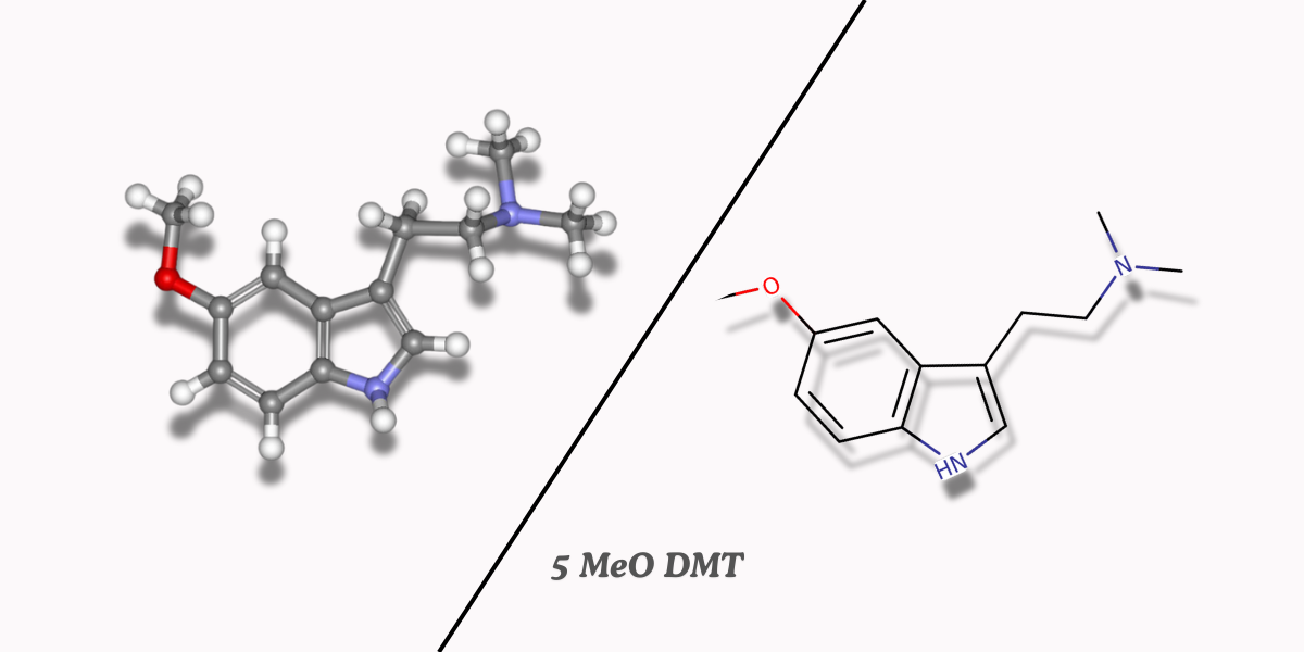 5 MeO DMT: Toad Venom Psychedelic Hallucinogen - Psychedelic Online ...
